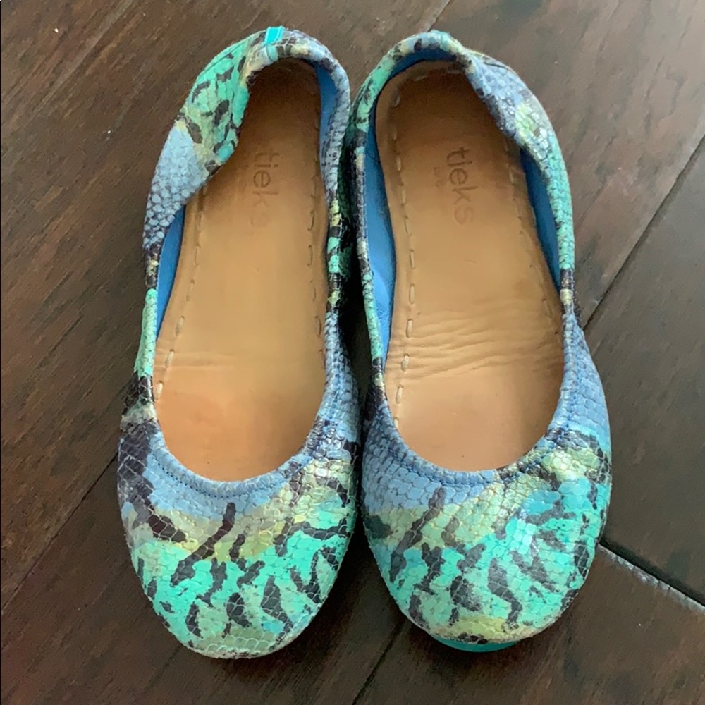 Tieks shoes